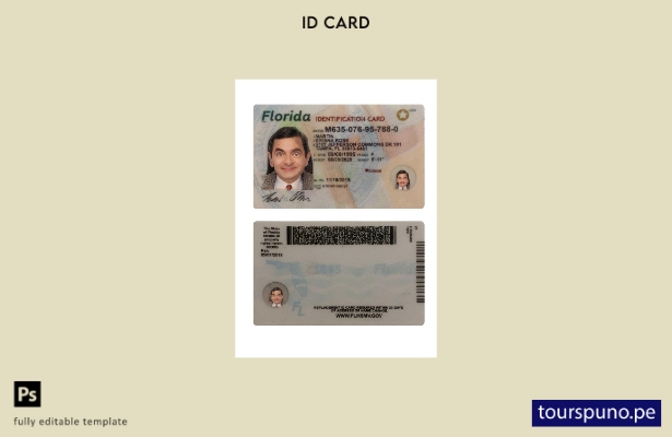 Plantilla de tarjeta de identificación de Florida de EE. UU. lista para imprimir